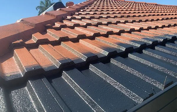 Roof-Painting-1-e1728957849633